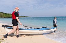 Okinawa: Kayak Mangroves & Ocean Native-English Private Tour