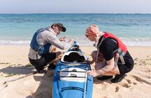 Okinawa: Kayak Mangroves & Ocean Native-English Private Tour