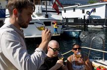 Private Copenhagen Harbor Cruise with Wine Tasting