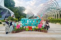 Light to night: River Cruise,Wings of time & Sentosa Sensoryscape