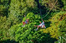 Family Zipline Fun – 7-Lines Discovery Tour for All Ages