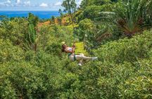 Sky Pulse Zipline Tour – Soar Through 7 Scenic Lines