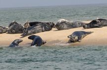 Private and Fully Customizable Cape Cod Dream Boating Adventure