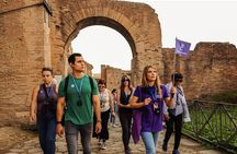 Rome: Colosseum Arena, Palatine & Forum - Gladiator's Stage Tour