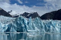 LeConte Glacier Tour and Norwegian Town Exploration