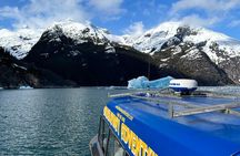 LeConte Glacier Tour and Norwegian Town Exploration