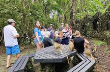 Private Island Tour of Barbados Fully Customizable Experience