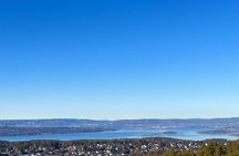 Oslo: Panoramic Fjord Hike Lead by a Local Guide and Dog