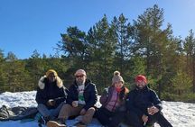 Oslo Relaxing Panoramic Hike With Local Guide and Dog