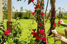 Day Pass Pool at Villa Relax with Pick-Up & Lunch Included