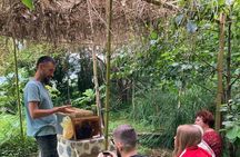 Honey story and Mtirala forest (From Batumi)