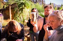 Honey story and Mtirala forest (From Batumi)