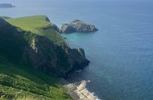 Giant’s Causeway & Antrim Coast Private Tour from Belfast