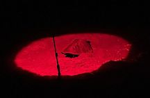 Sea Turtle Nesting and Hatching Tour Samara and Carrillo