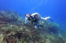 2 Deep Reef Dives in Cancun Caribbean Sea for Certified Divers