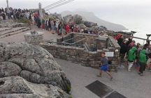 Table Mountain and Kirstenbosch with Constantia Wine Tour