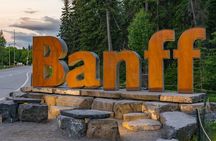 Explore Banff + Wildlife