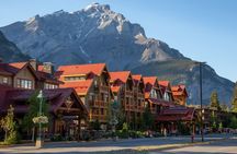 Explore Banff + Wildlife