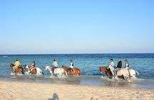 Horseback Riding Adventure and Port Ghalib Shopping in Marsa Alam