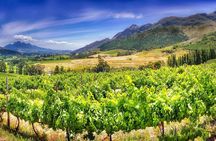  Half Day Wine Tour from Cape Town