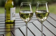  Half Day Wine Tour from Cape Town