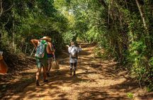 Private Walk through the Natural Pools in Búzios