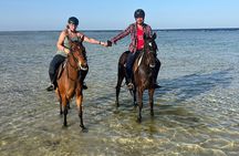 Horseback Riding Adventure and Port Ghalib Shopping in Marsa Alam