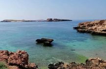 Muscat: Daymaniyat Island Snorkeling Amazing Trip