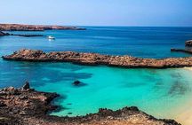 Muscat: Daymaniyat Island Snorkeling Amazing Trip