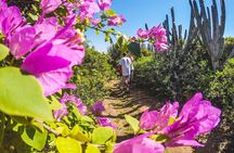Private Walk through the Natural Pools in Búzios