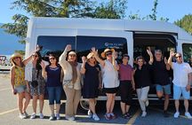 Whistler: Sea to Sky Gondola Shannon and Brandywine Falls Tour