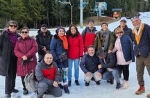 Whistler: Sea to Sky Gondola Shannon and Brandywine Falls Tour