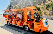 Private Guided City Tour up to 12 Passengers