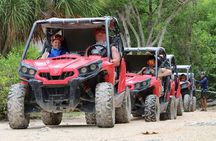 Jungle Buggy Day Tour