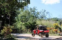 Jungle Buggy Day Tour