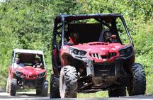 Jungle Buggy Day Tour