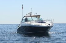 Luxury Yacht Tour in Los Cabos 45FT SeaRay Sundancer 