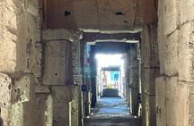Colosseum Underground Tour and Access to Forum and Palatine Hill 