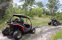 Orlando Dune Buggy Tour