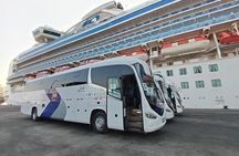 Ballestas Islands tour from Pisco CRUISESHIP TERMINAL