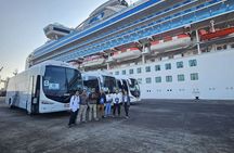 Ballestas Islands tour from Pisco CRUISESHIP TERMINAL