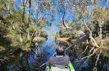 Bribie Island 4WD Kayak and WWII Bunker Tour