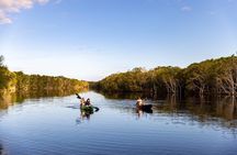 Bribie Island 4WD Kayak and WWII Bunker Tour