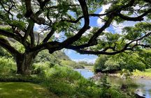Private North Shore Oahu Tour ft. Waimea Falls-Customizable