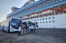 Ballestas island & Paracas reserve from PISCO CRUISESHIP TERMINAL