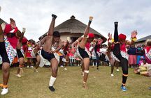 Tala Game Reserve, Natal Park and Phezulu Safari from Durban