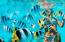 Cartagena Island Hopping : 5-Stop Rosario Island Tour with Lunch