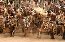 Tala Game Reserve Natal Lion Park and Phezulu Safari Park Tour