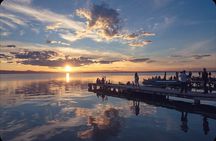 Bike Adventure from Valencia to Albufera Wetlands and Beaches