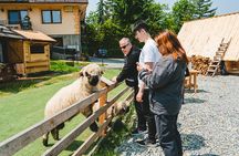 Krakow: Zakopane Tour with Cable Car Ride, Vodka & Chesse Tasting